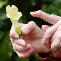 3 treatments available for rheumatoid arthritis