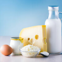 Everything to know about dairy products and eggs