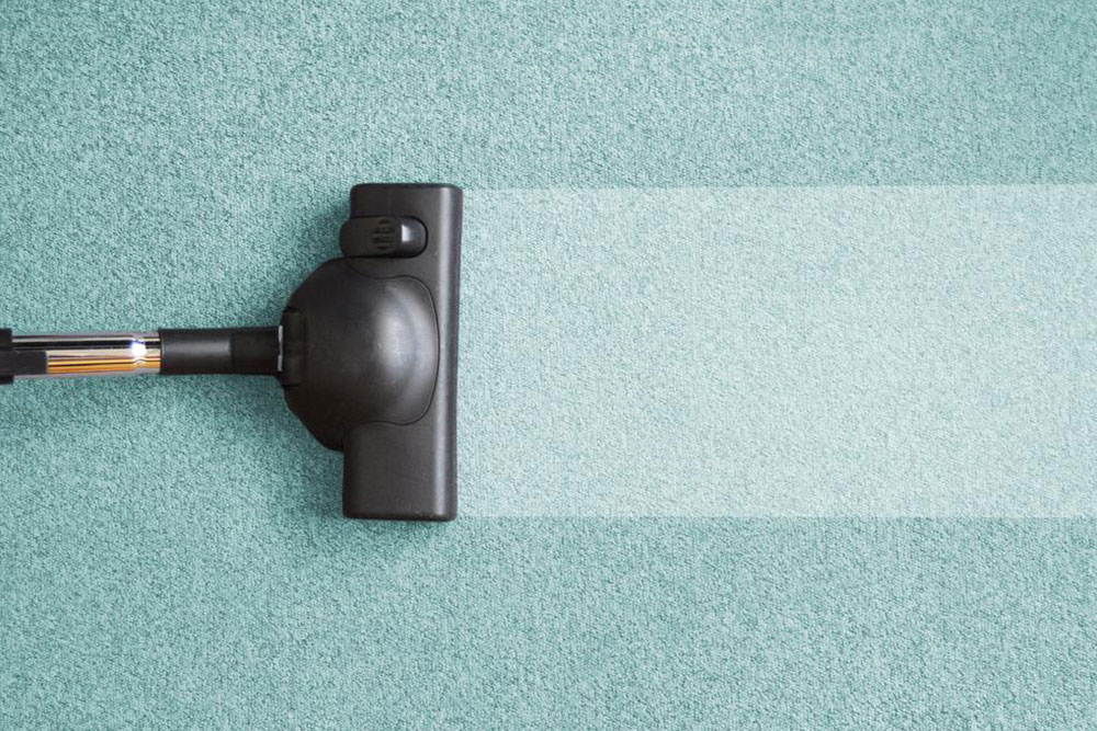 Everything you need to know about specialized carpet cleaning services