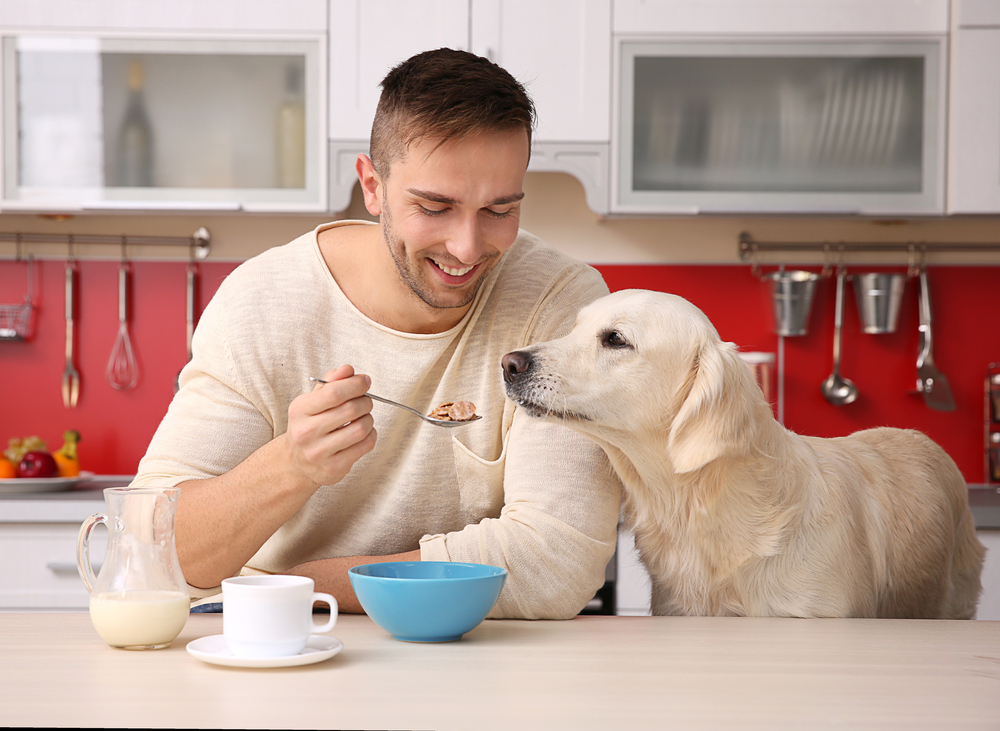 How To Choose The Best Dog Food For Your Furry Friend