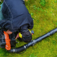 How to choose the right leaf blower for your garden