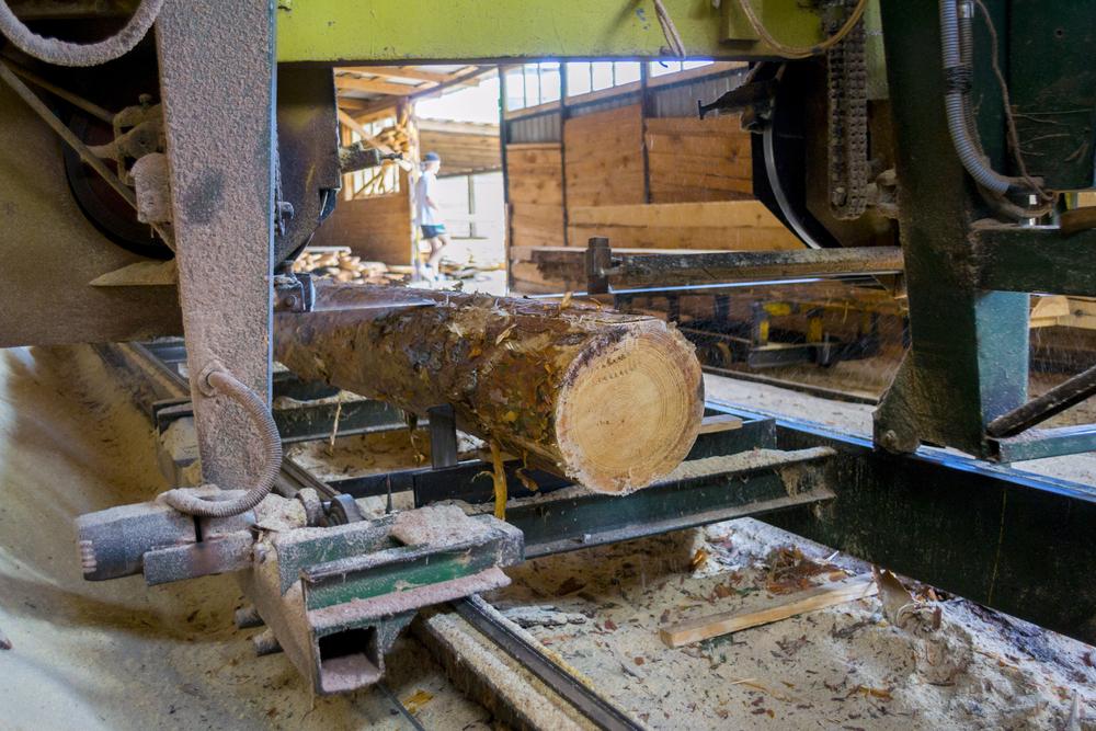 How to choose a portable sawmill?