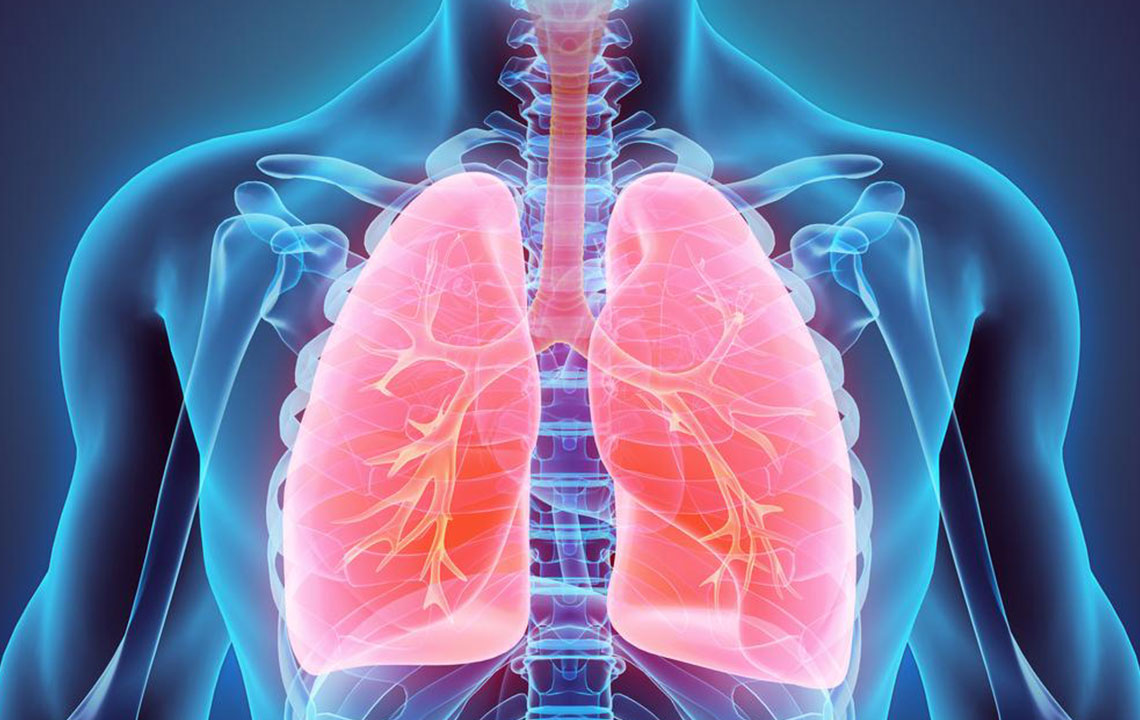 Here is a quick look at the common symptoms and treatments of lung cancer