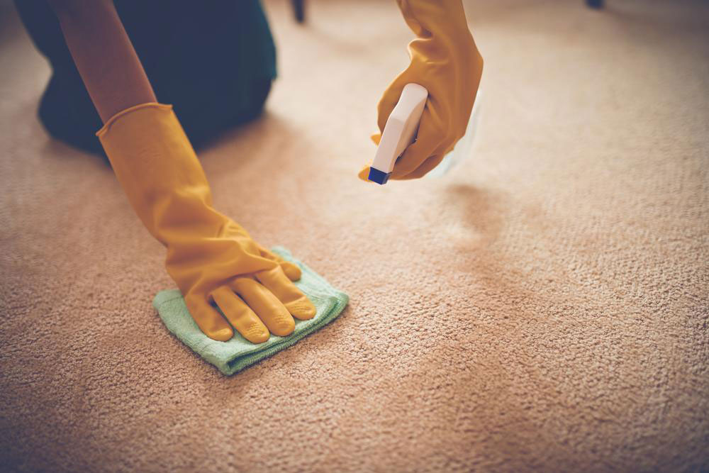 Here&#8217;s why and how to choose the best carpet stain removers