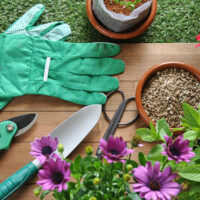 Make your gardening easy and effortless using the right garden tools