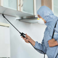 Pest control and its benefits