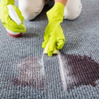 The Best Carpet Stain Removers You Must Know About