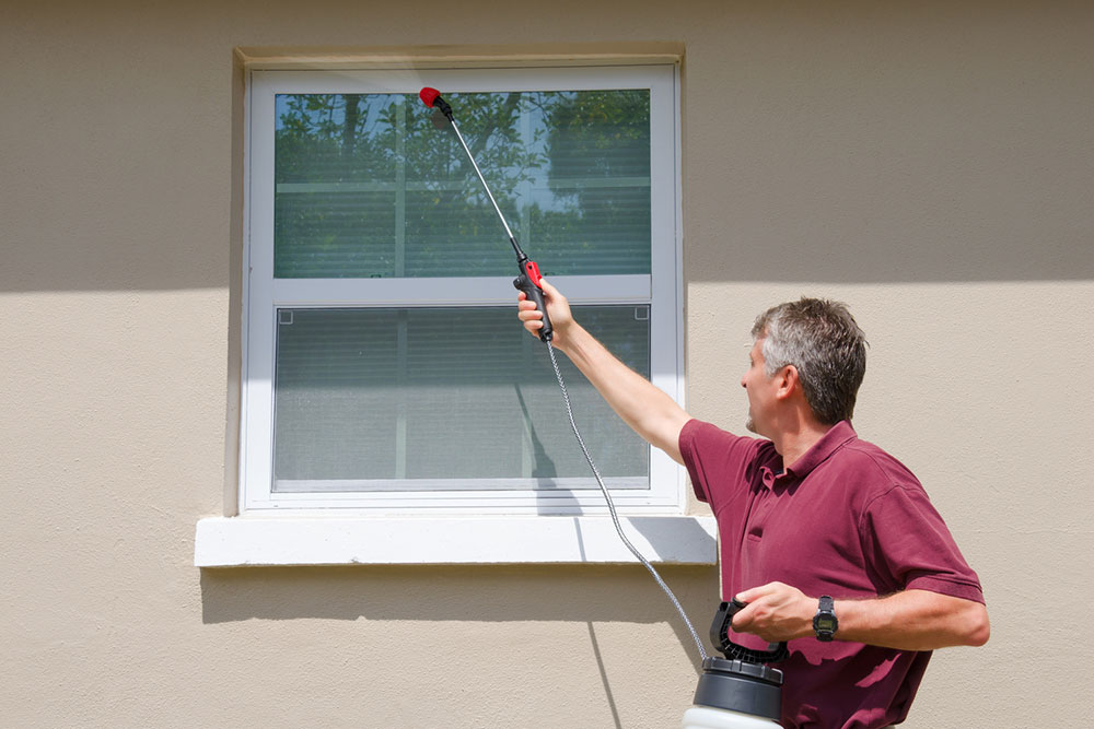 3 reasons to hire pest control companies