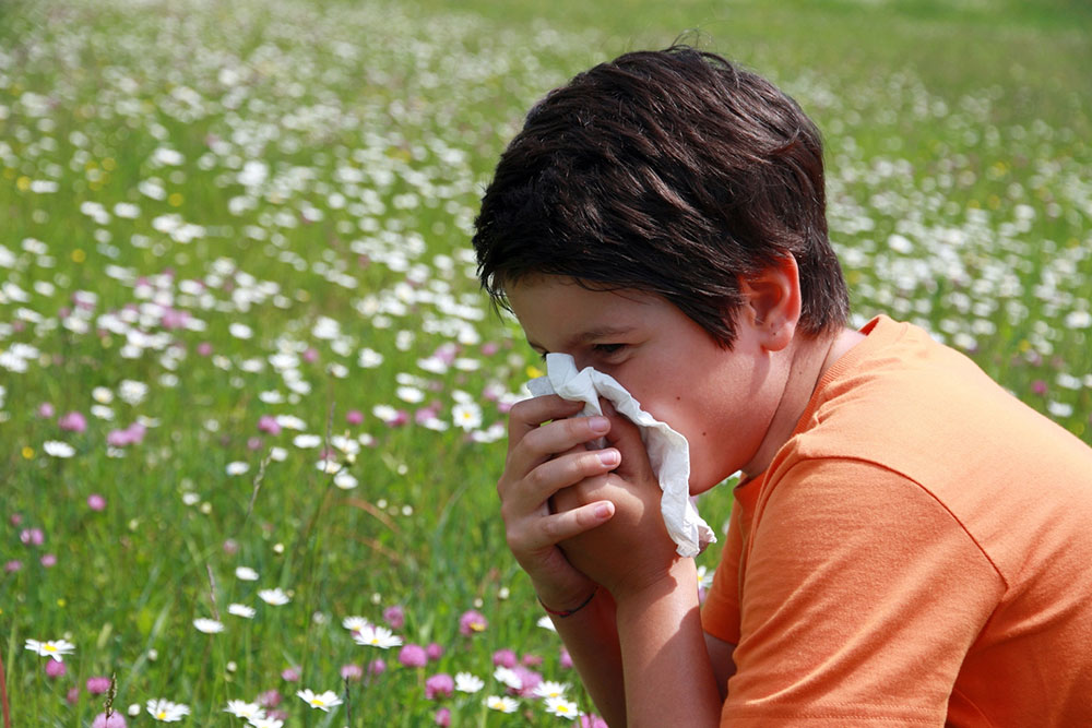 A Guide to Pollen Allergies