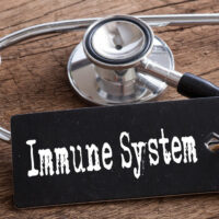 All you need to know about the human immune system