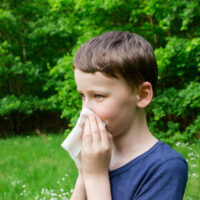 Simple Home Remedies for Pollen Allergy