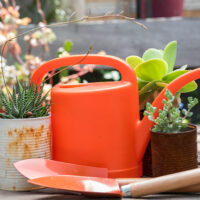 6 Exciting Cyber Monday Deals on Patio and Garden Equipment