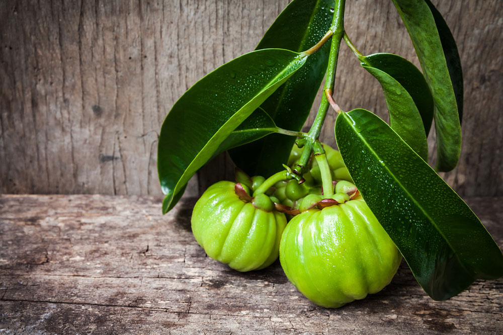 A Brief Overview of Garcinia Cambogia