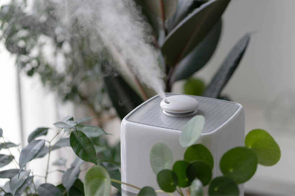 HEPA Air Purifiers to Look Out for this Black Friday