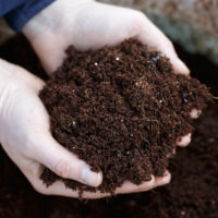 Top 7 organic fertilizers for the garden