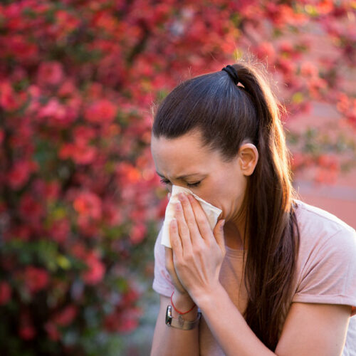 Tree Allergy Symptoms and Ways to Manage Them