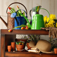 Tips for Choosing the Right Garden Supplies